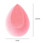 Buy Praush (Formerly Plume) Microfiber Velvet Sponge Blush - Pink - Purplle