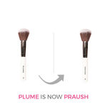 Buy Praush (Formerly Plume) Professional Powder Brush Big - P01 - Purplle