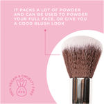 Buy Praush (Formerly Plume) Professional Powder Brush Big - P01 - Purplle