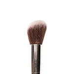 Buy Praush (Formerly Plume) Professional Angled Blush Brush - P02 - Purplle