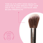 Buy Praush (Formerly Plume) Professional Angled Blush Brush - P02 - Purplle