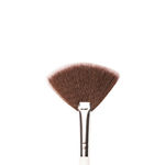 Buy Praush (Formerly Plume) Professional Highlighter Fan Brush - P06 - Purplle