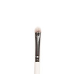 Buy Praush (Formerly Plume) Dense Dome Eyeshadow Application Brush - P17 - Purplle