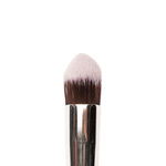 Buy Praush (Formerly Plume) P20 - Professional Dense Tapered Concealer Foundation Brush - Purplle