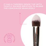 Buy Praush (Formerly Plume) P20 - Professional Dense Tapered Concealer Foundation Brush - Purplle