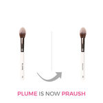 Buy Praush (Formerly Plume) Professional Makeup Brush Set - 23 Pcs - Purplle