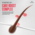 Buy Schwarzkopf Professional Bonacure Repair Rescue Shampoo with Arginine 250 ml - Purplle
