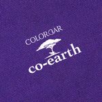Buy Colorbar Co-Earth Flamazing Flat Pouch - Deep Purple (80 g) - Purplle