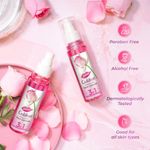 Buy Dabur Gulabari Rose Glow Face Cleanser - 100ml | For All Skin Types | 3 in 1 Cleanser | Cleaner, Balanced & Hydrated Skin - Purplle