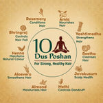 Buy Dabur Vatika Ayurvedic Shampoo - 640ml | Damage Therapy | With Power of 10 ingredients for solving 10 hair problems| No Parabens | For all hair types - Purplle