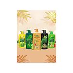 Buy Dabur Vatika Ayurvedic Shampoo - 640ml | Damage Therapy | With Power of 10 ingredients for solving 10 hair problems| No Parabens | For all hair types - Purplle