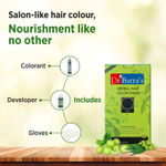 Buy Dr Batra's Herbal Ammonia Free Hair Color Cream Black - 130 gm - Purplle