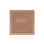 Buy IMAGIC PROfessional SCULPTING KIT FA129 - Chocolate Beige - Purplle
