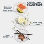 Buy Biolage Professional Fiberstrong Anti-Breakage Shampoo, 95% less breakage & Reduces Hairfall, With Bamboo, Vegan & Cruelty-Free, 200 ml - Purplle