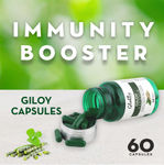 Buy Globus Ayurvedic Giloy Immunity Booster Capsule 60 Tablets - Purplle