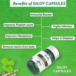 Buy Globus Ayurvedic Giloy Immunity Booster Capsule 60 Tablets - Purplle