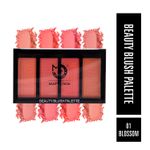 Buy Matt look Beauty Blush Palette, Face Makeup, Blush Baby-1 (20gm) - Purplle