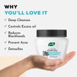 Buy Joy Revivify Activated Charcoal Mask | Deep Detoxifying & Purifying Mask | With Tea Tree, Apple Cider, Eucalyptus, Vinegar, Bentonite Clay | Charcoal Face Mask | 250 gm - Purplle