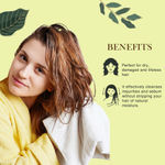 Buy Richfeel Aloevera Shampoo (500 ml) - Purplle