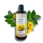 Buy Richfeel Arnica Shampoo (500 ml) - Purplle