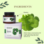 Buy Richfeel Brahmi Hair Pack - Pack Of 2 (100 g) - Purplle