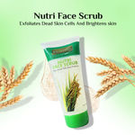 Buy Richfeel Nutri Face Scrub (100 gm) - Purplle