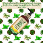 Buy WishCare Tea Tree Mint Shampoo - Anti Dandruff Shampoo - Cleansing Formula (300 ml) - Purplle