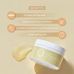 Buy Ashba Botanics Flaxseed Curling Custard Natural Styling Gel for Curly & Wavy Hair - Excellent Hold & Shine (200 gm) - Purplle