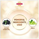 Buy Inveda Active Charcoal Anti-Toxin Shampoo for Reducing Dandruff, Brittle Hairs, Made with Reetha & Shikakai to Give Healthy and Strong Hair, 300ml - Purplle