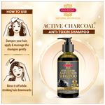 Buy Inveda Active Charcoal Anti-Toxin Shampoo for Reducing Dandruff, Brittle Hairs, Made with Reetha & Shikakai to Give Healthy and Strong Hair, 300ml - Purplle