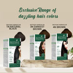 Buy Biotique Bio Herbcolor 3N Darkest Brown (50 g +110 ml)pack of 3 - Purplle