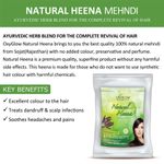 Buy OxyGlow Herbals Natural Henn Menhdi 100 Gram - Purplle