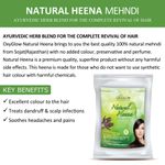 Buy OxyGlow Herbals Natural Henn Menhdi 200 Gram - Purplle