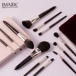 Buy IMAGIC PROfessional MAKEUP BRUSH Set 12Pc - Purplle