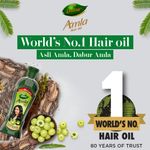 Buy Dabur Amla Hair Oil - 450 ml | For Strong, Long and Thick hair | Nourishes Scalp | Controls Hair Fall, Strengthens Hair & Promotes Hair Growth - Purplle