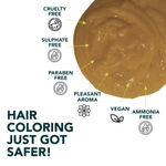 Buy Paradyes Ammonia Free Semi Permanent Hair Color Highlighting Kit (Honey Blonde) - Purplle