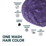 Buy Paradyes Wild Violet Temporary One Wash Hair Color 45 gm - Purplle