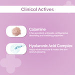 Buy The Derma Co.2% Hyalacalamine Oil Control Face Wash For Oil-Free Clear Skin (100 ml) - Purplle