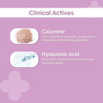 Buy The Derma Co.6% Hyalacalamine Matte Face Lotion with Calamine & Hyaluronic Acid for Oily Skin (120 ml) - Purplle