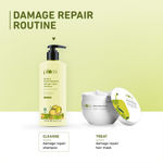 Buy Plum Olive & Plant Keratin Damage Repair Shampoo | With Olive Oil, Plant keratin, Macadamia oil | Strengthens & smoothens hair, conditions and adds shine to hair - Purplle