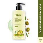 Buy Plum Olive & Plant Keratin Damage Repair Shampoo | With Olive Oil, Plant keratin, Macadamia oil | Strengthens & smoothens hair, conditions and adds shine to hair - Purplle