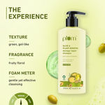 Buy Plum Olive & Plant Keratin Damage Repair Shampoo | With Olive Oil, Plant keratin, Macadamia oil | Strengthens & smoothens hair, conditions and adds shine to hair - Purplle