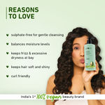 Buy Plum Avocado & Argan Frizz Control Shampoo for curly, wavy, frizzy hair| With Argan Oil, Avocado Oil, Aloe Vera Extract | Reduces Frizz, Retains moisture, conditions strands 250 ml - Purplle