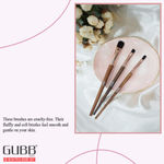 Buy GUBB Minimal Makeup Brush Kit Set Of 3 (Lip Brush, Eyeshadow Brush & Eyeliner Brush) - Purplle