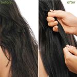 Buy Biolage Professional Fiberstrong Anti-Breakage Shampoo & Conditoner, 95% less breakage & Reduces Hairfall, With Bamboo, Vegan, 200ml + 98g - Purplle