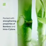 Buy Biolage Professional Fiberstrong Anti-Breakage Shampoo & Conditoner, 95% less breakage & Reduces Hairfall, With Bamboo, Vegan, 200ml + 98g - Purplle
