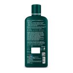 Buy Dr Batra's Dandruff Cleansing Shampoo 200 Ml Each (Pack Of 2) - Purplle