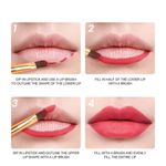 Buy IMAGIC MATTE LIPSTICK PALETTE LP-215 - 90 gm - Purplle