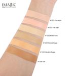 Buy IMAGIC PROfessional cosmetics CONCEALER & CORRECTER FA122-01 - Purplle