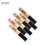 Buy IMAGIC PROfessional cosmetics CONCEALER & CORRECTER FA122-01 - Purplle